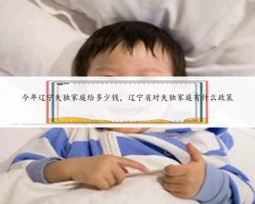 今年辽宁失独家庭给多少钱，辽宁省对失独家庭有什么政策