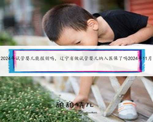 2024年试管婴儿能报销吗，辽宁省做试管婴儿纳入医保了吗2024年11月